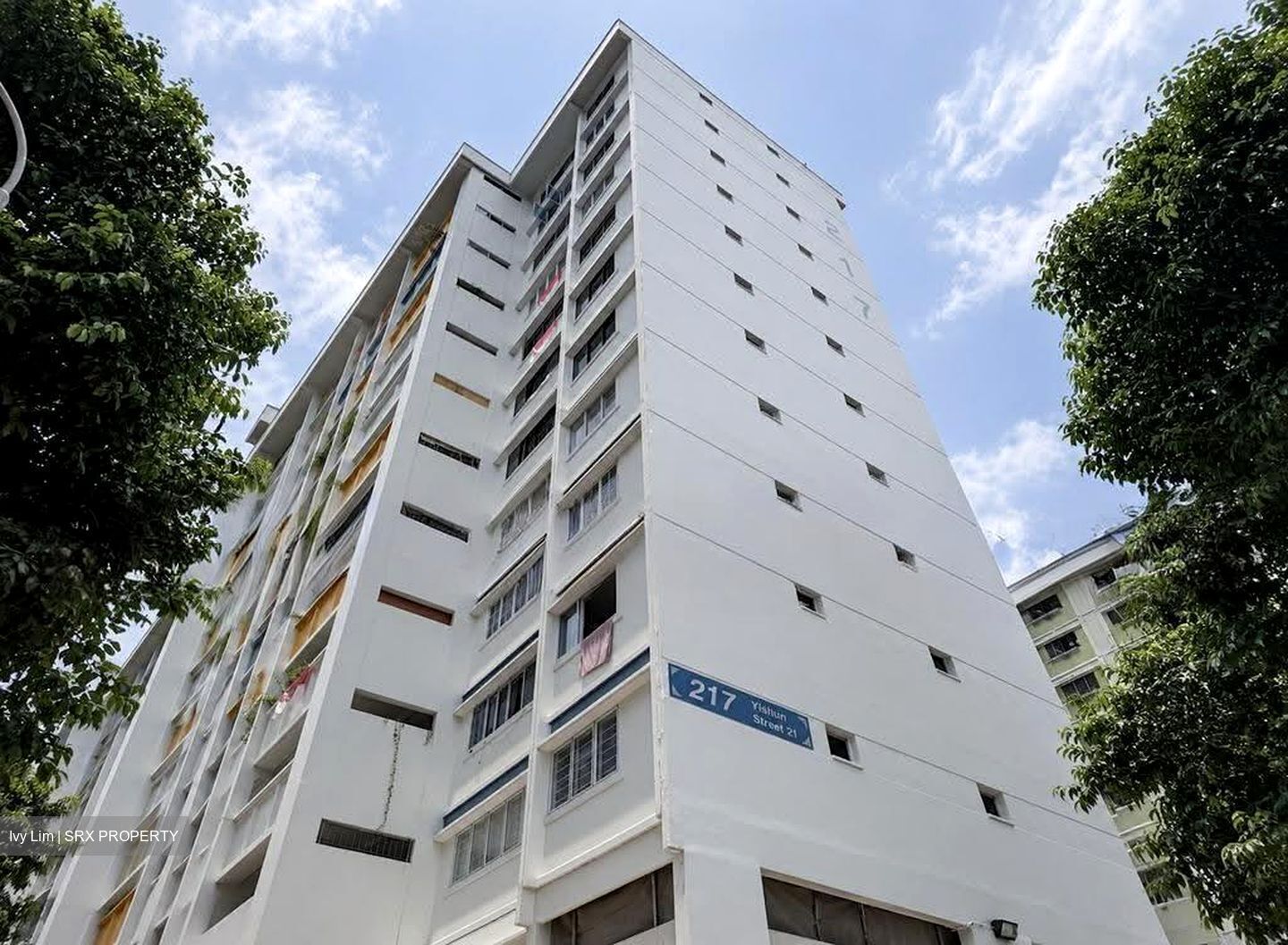 Blk 217 Yishun Gardens (Yishun), HDB 3 Rooms #612734711